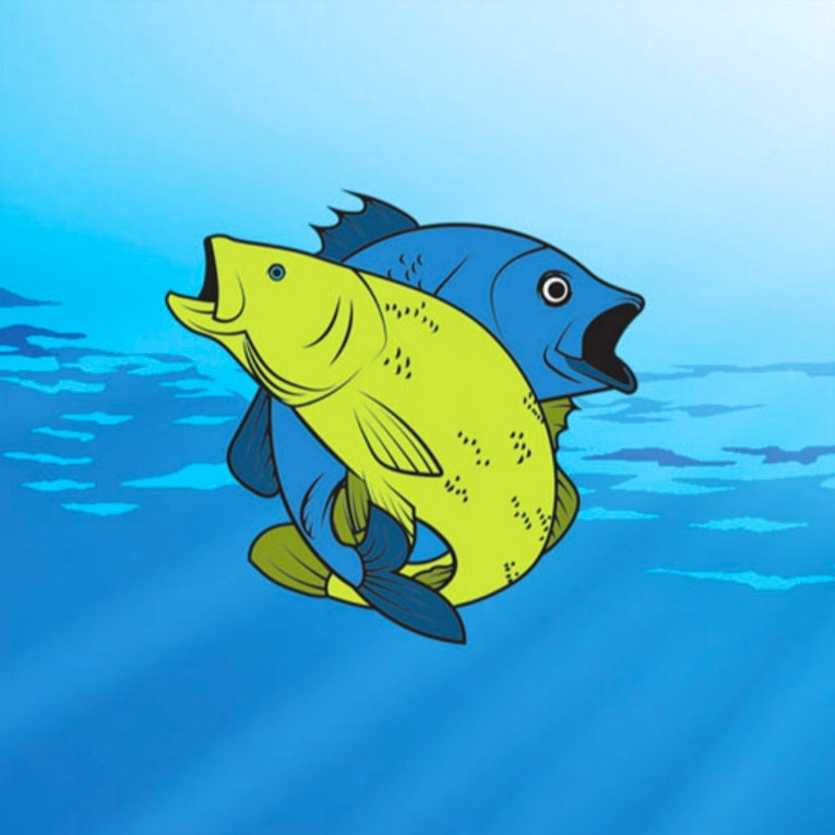 Friendly Fish Coloring