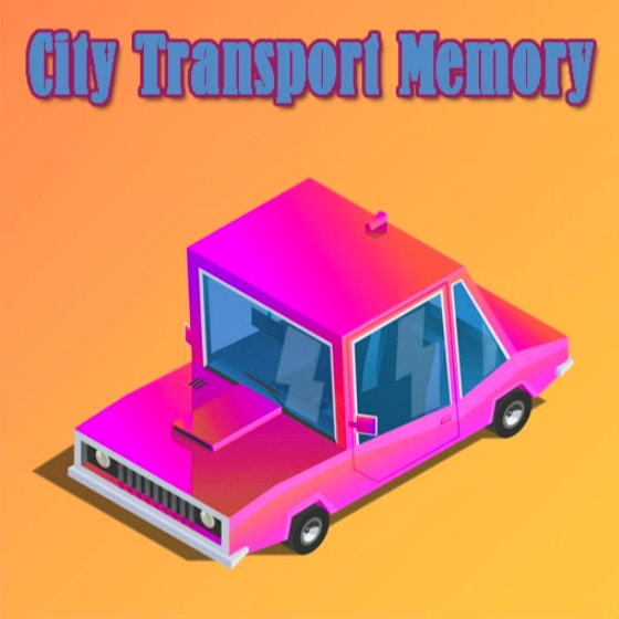 City Transport Memory
