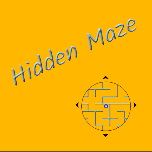 Hidden Maze