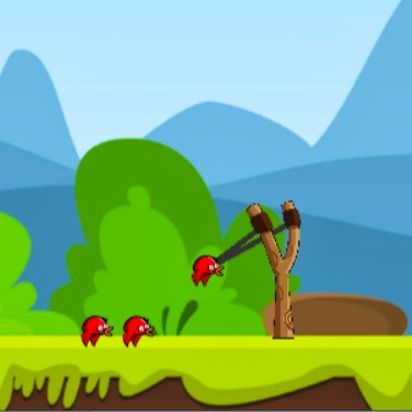 Angry Ducks