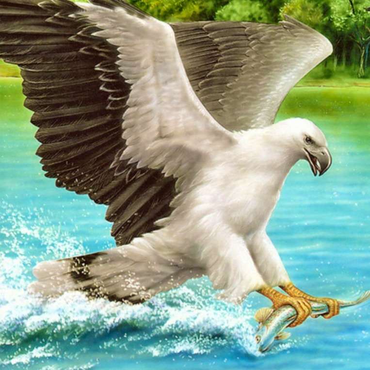 Birds of Prey Slide