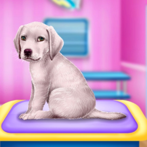 Labrador at the Doctor Salon preview