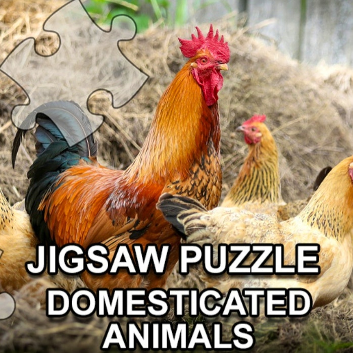 Jigsaw Puzzle: Domesticated Animals