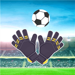 Goalkeeper - World Challenge