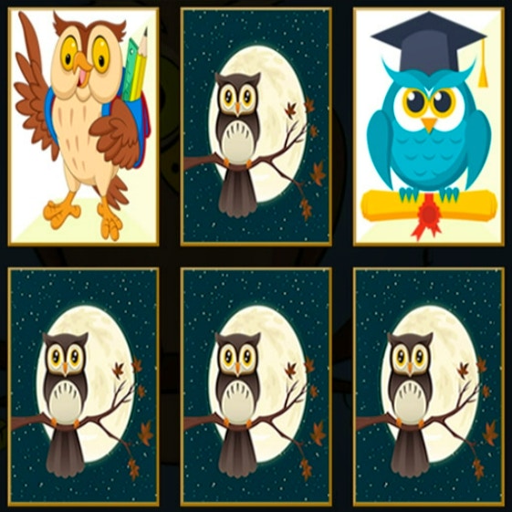 Cute Owl Memory