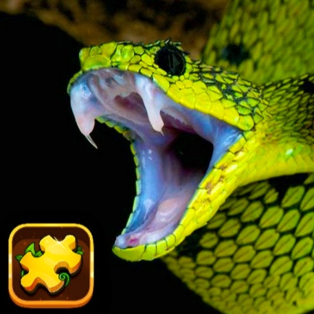 Snake Puzzle Challenge preview