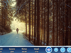 Winter: Hidden Stars