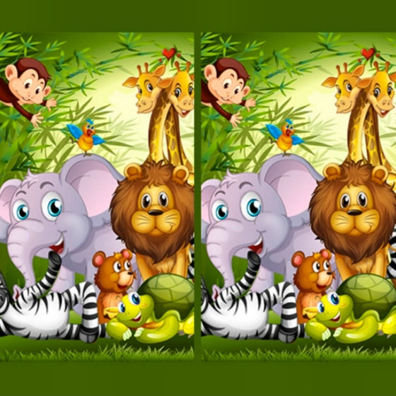 Find Seven Differences Animals