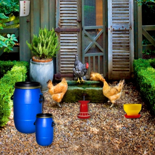 Poultry Farm Easter Escape