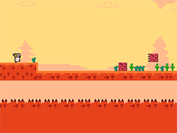 Pet Runner