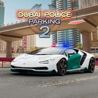 Dubai Police Parking 2