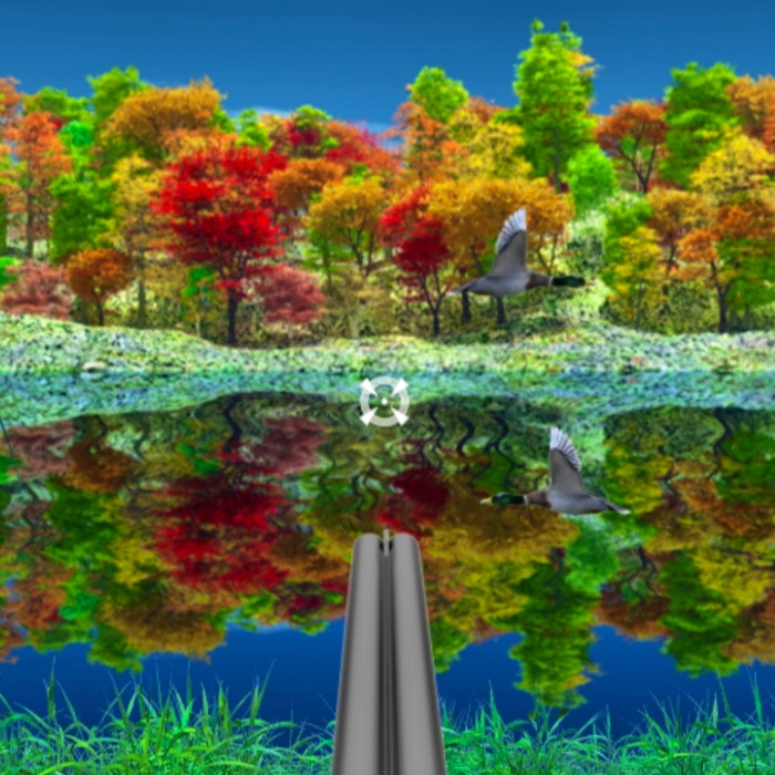 Duck Hunter Autumn Forest