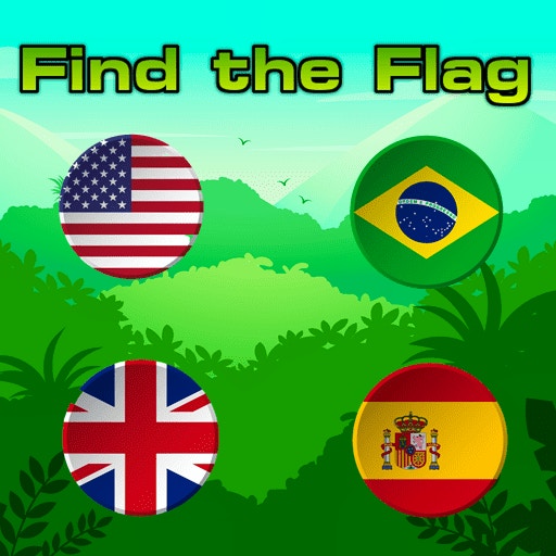 Find the Flag preview