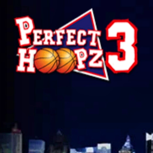 Perfect Hoopz 3