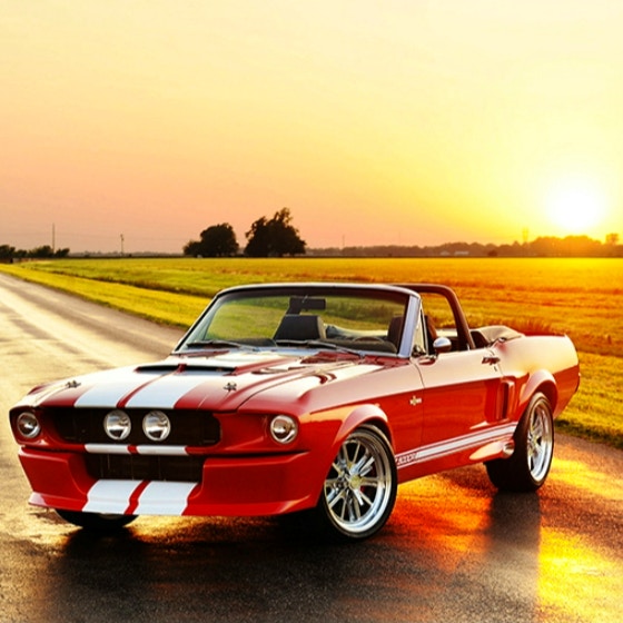 Fancy Mustang Spot the Difference