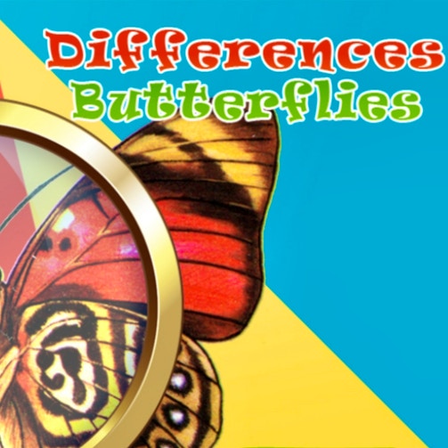 Differences Butterflies game