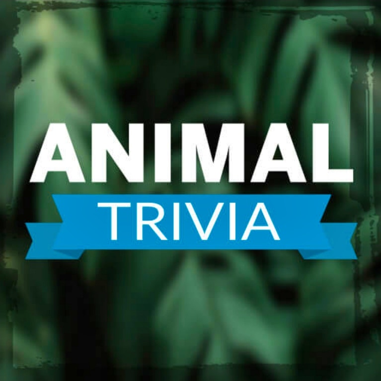 Animal Trivia preview