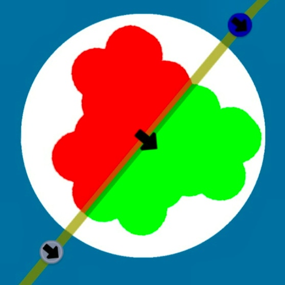 Reflection Symmetry preview
