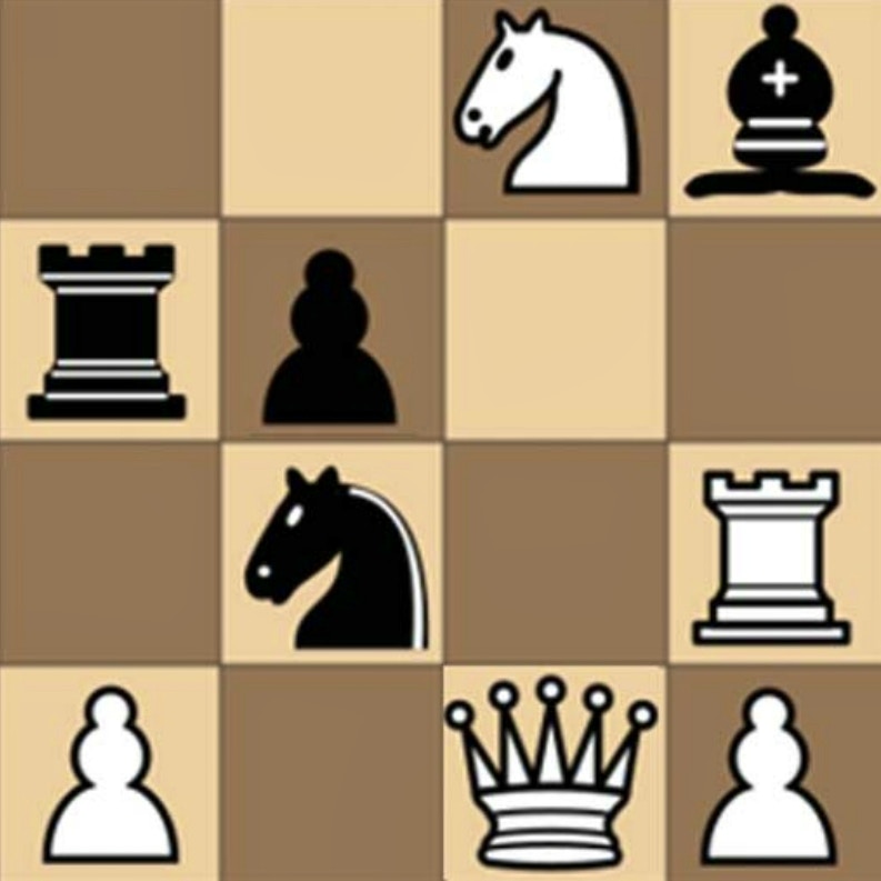 Chess with a computer