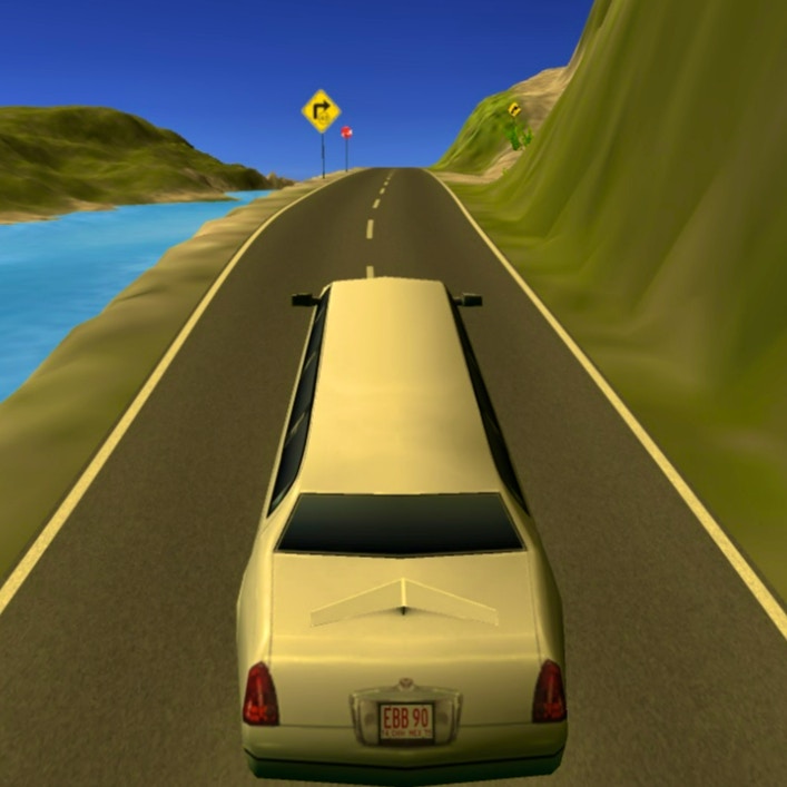 Limousine Driver preview