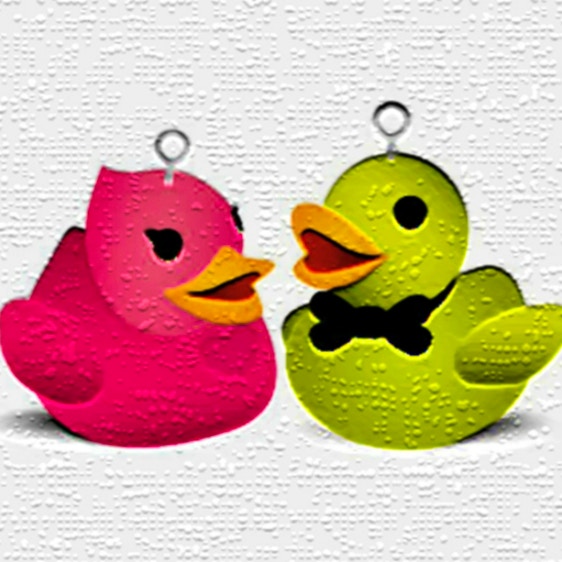 Duck Memory