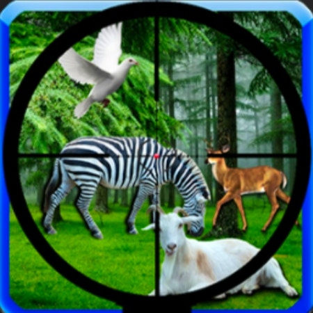 Real Jungle Animals Hunting
