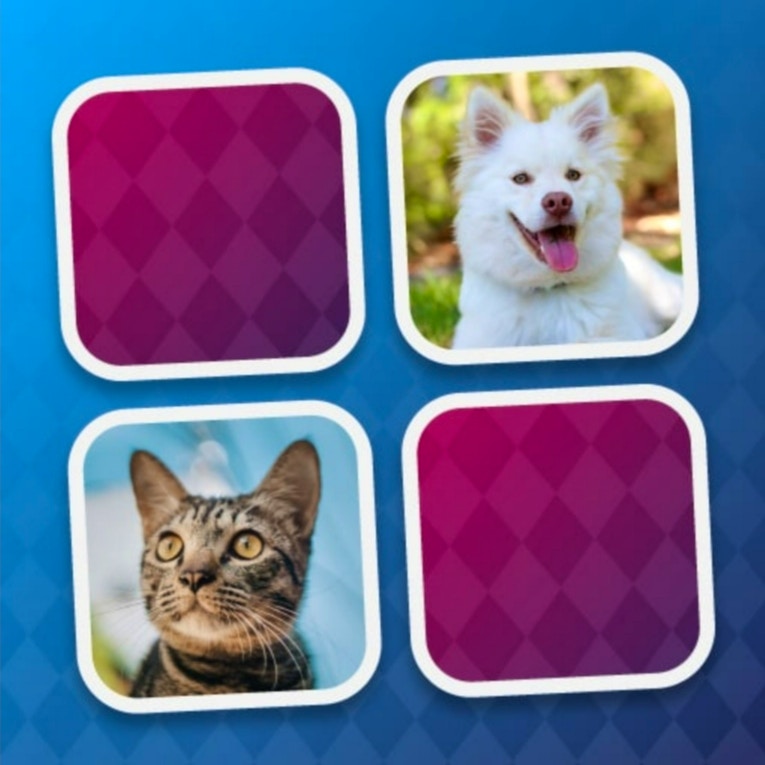 Memory Challenge