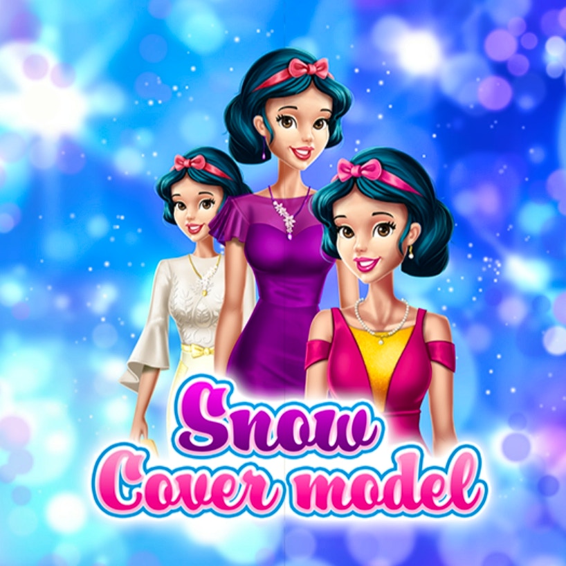Snow Cover Model