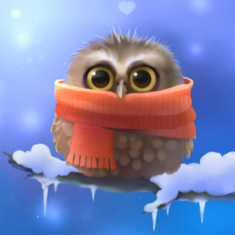 Cute Owl Slide