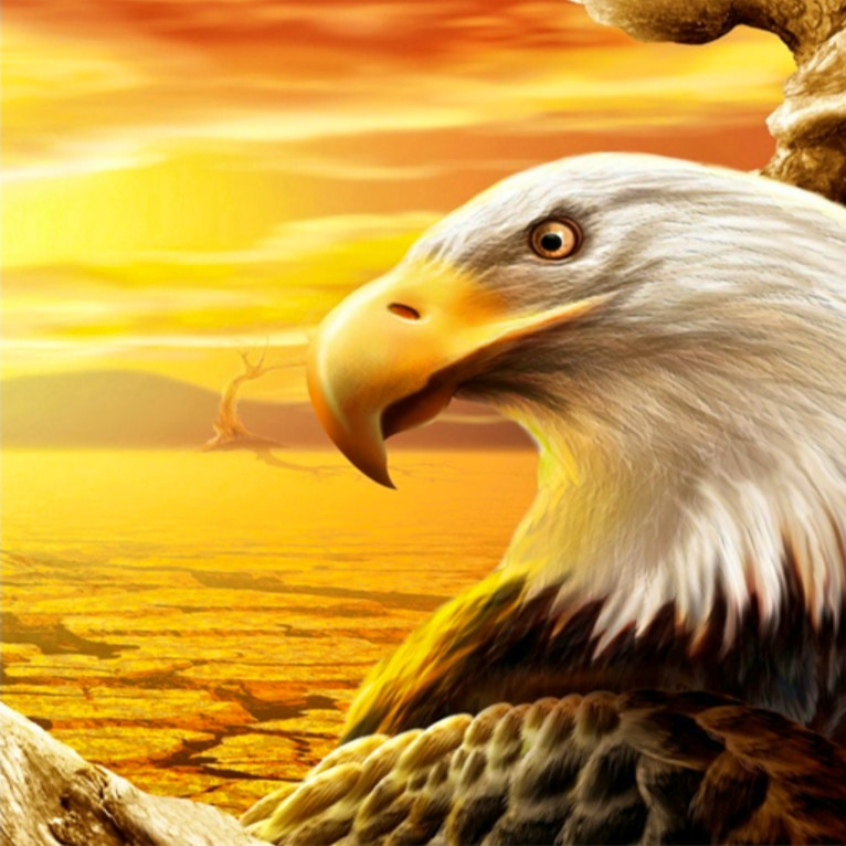 Eagle Slide