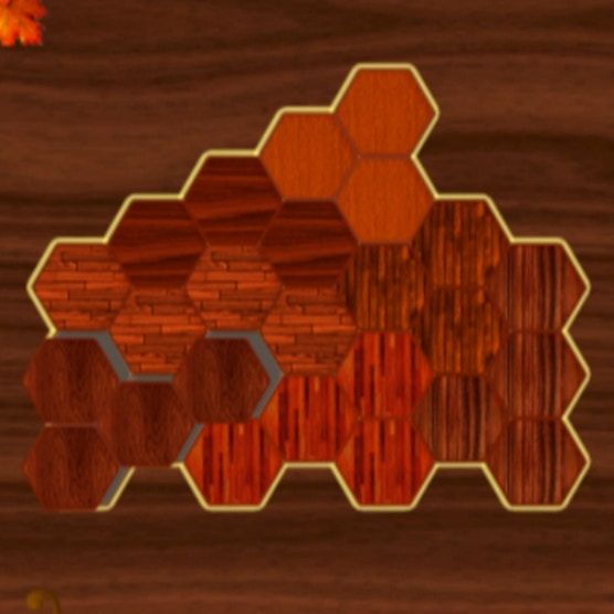Woody Block Hexa Puzzle Game