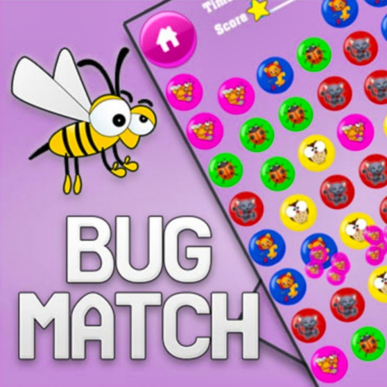 Bug Match Game