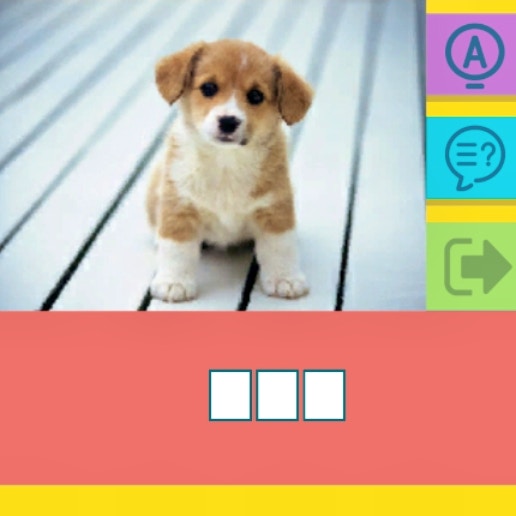 Picture Quiz