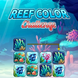 Reef Color Challenge preview