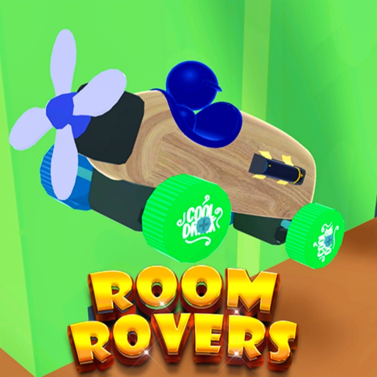 Room Rovers