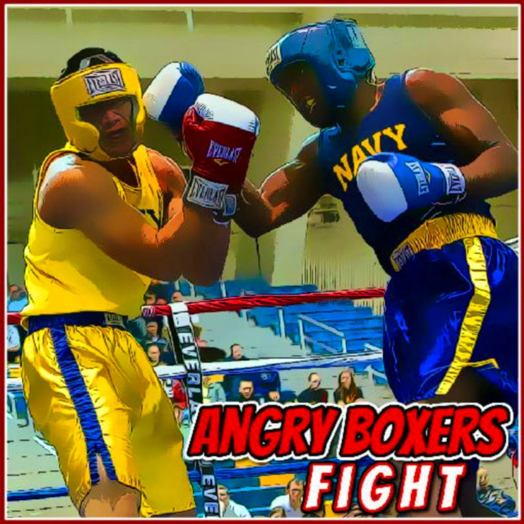 Angry Boxers Fight