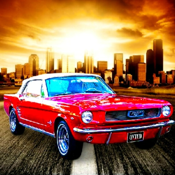 Daily Mustang Jigsaw