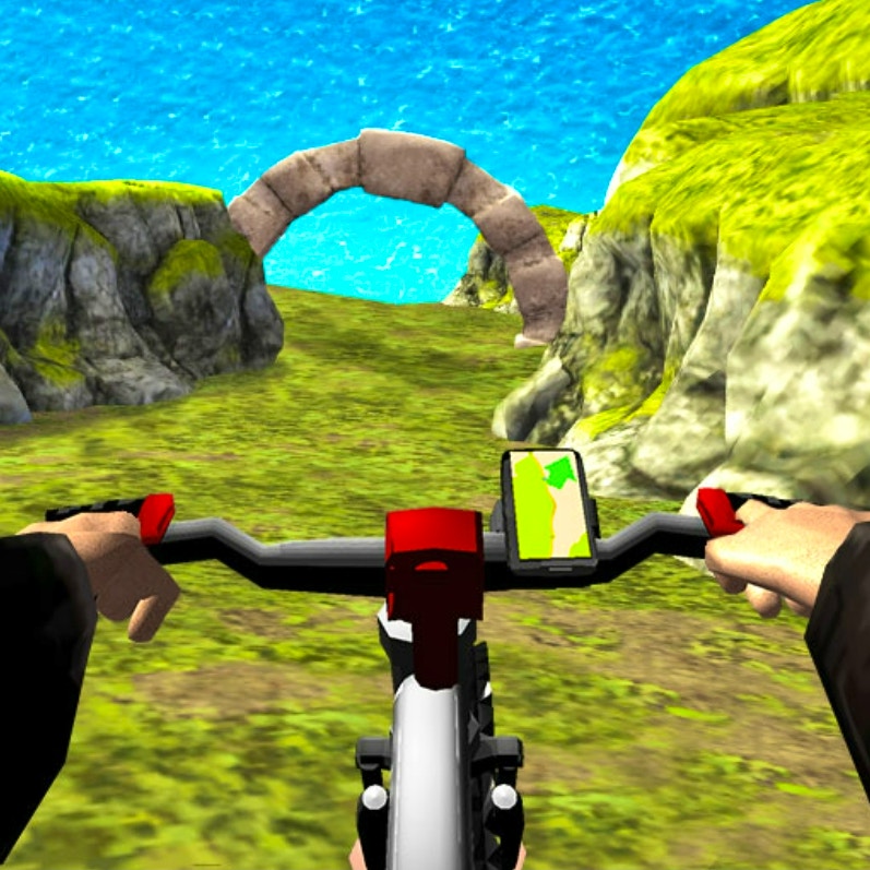 Real MTB Downhill 3D