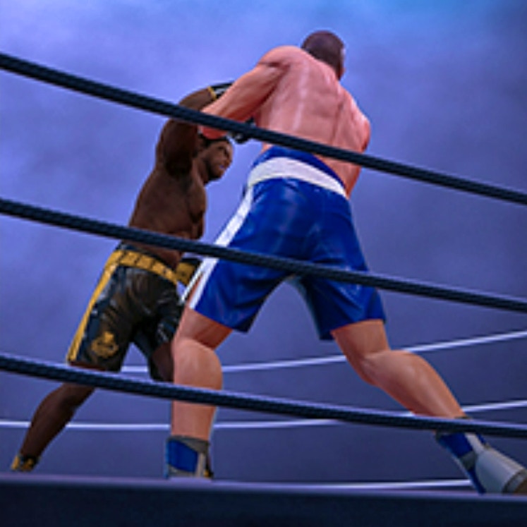 Ultimate Boxing preview