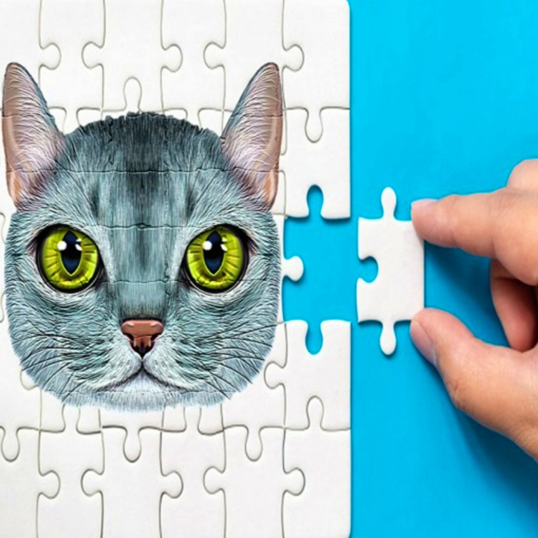 Abyssinian Puzzle Challenge