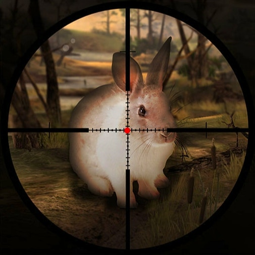 Classical Rabbit Hunting